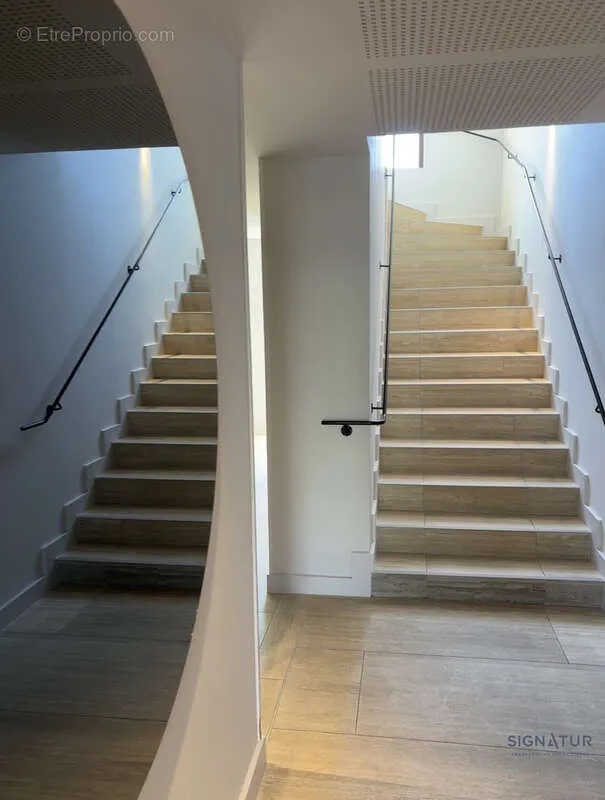 Toad - High-End Apartment with Terrace in Castries