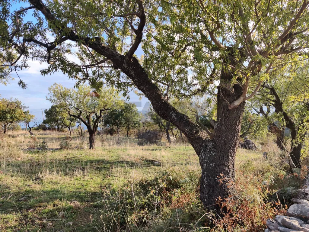 Jardin - 10,200 sqm Plot in Contrada San Salvatore
