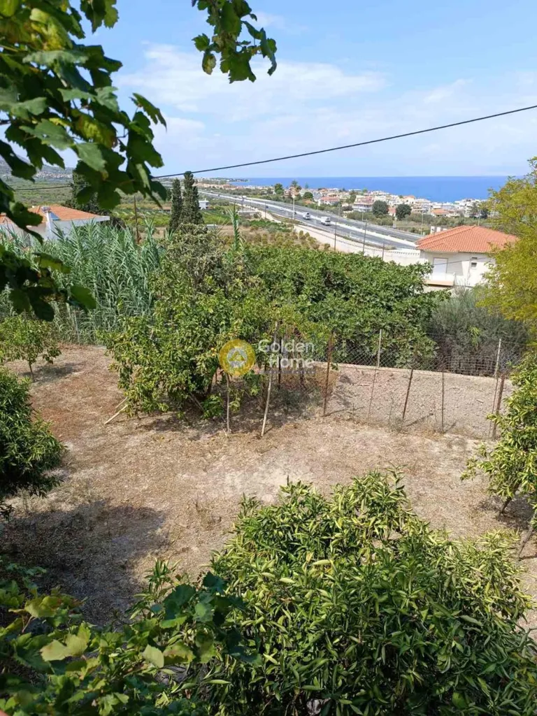 Jardin - Two-Bedroom Villa with Sea View in Melissi