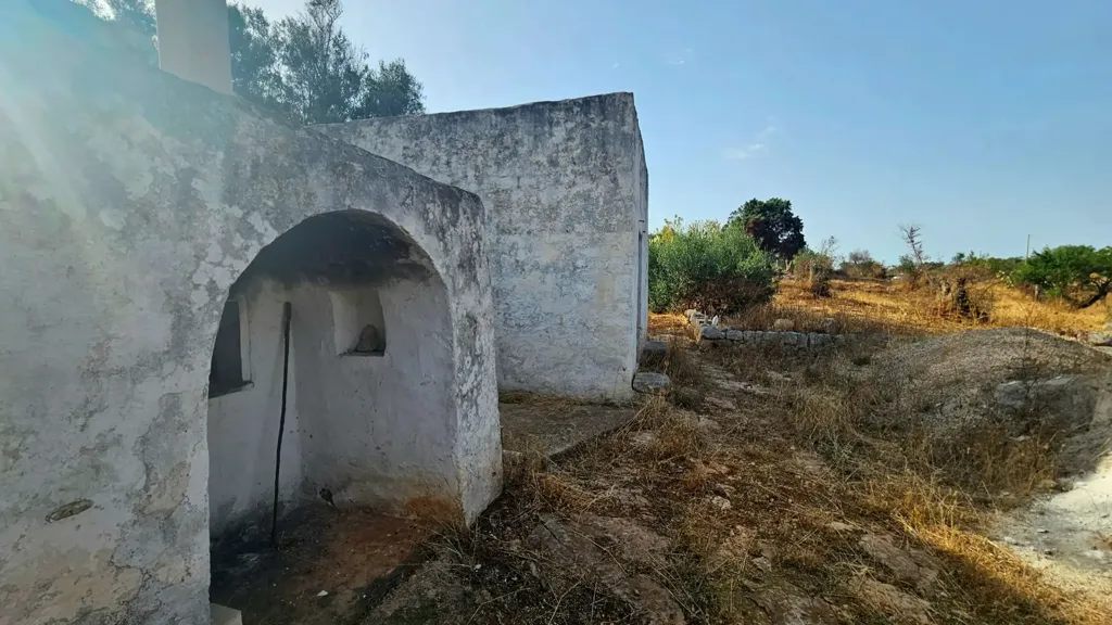 Extérieur - Trullo with Olive Grove in Carovigno
