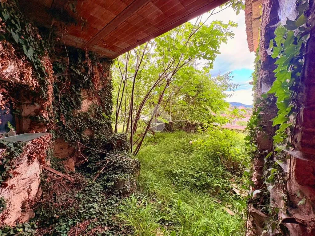 Jardin - Rustic Property with Vineyard View in Valdobbiadene