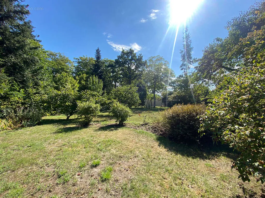 Terrain Arboré Constructible à Olivet