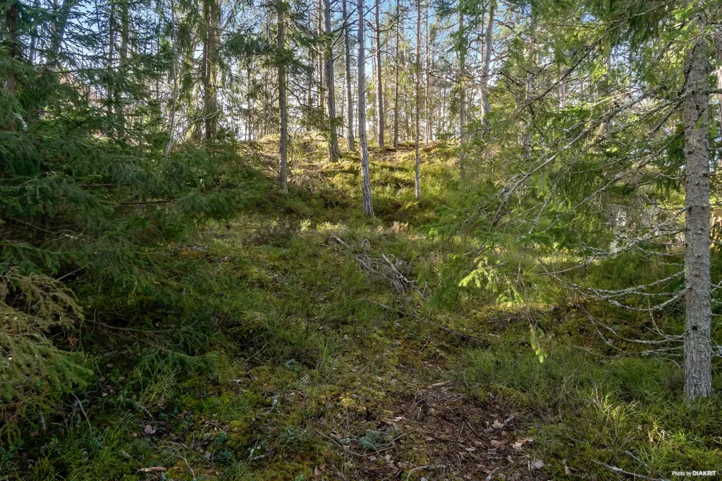 Terrain à Tyresö