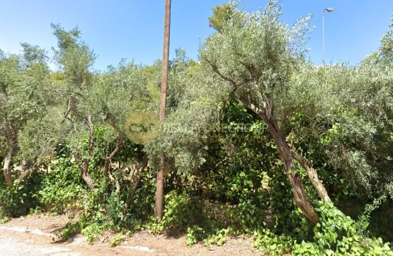 Garden - Buildable Plot with Panoramic View in Kifissia