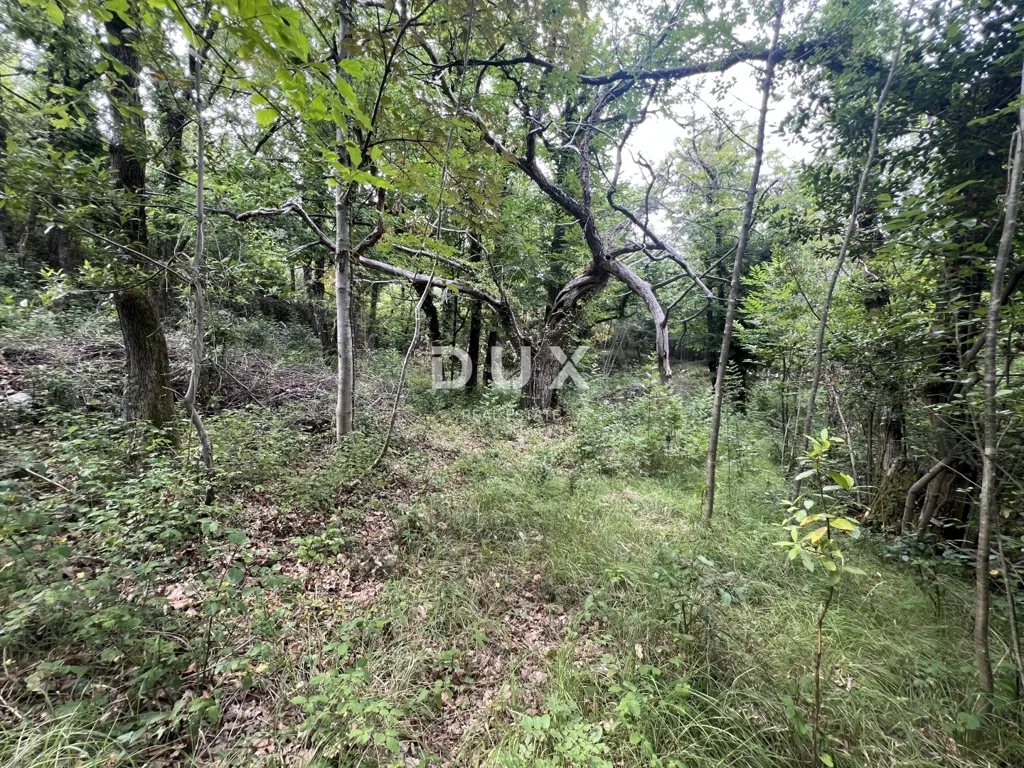 Aed - Reconstruction Plot with Sea Proximity in Mošćenička Draga