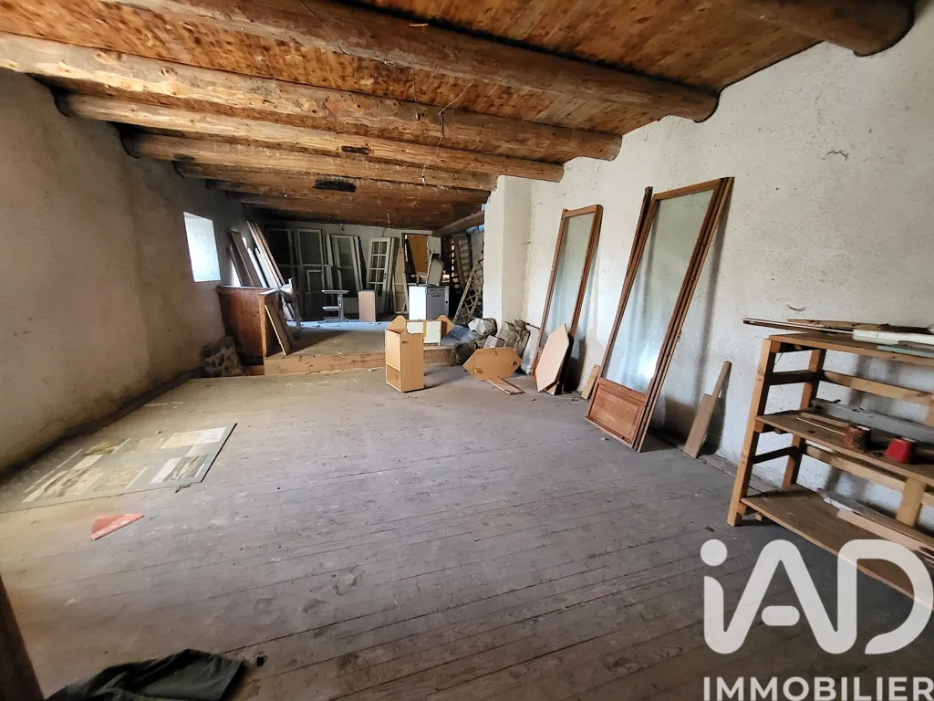Toad - Village House with Potential in Blanzac