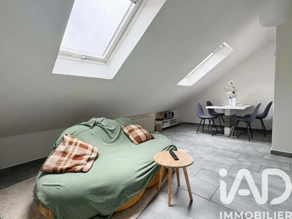 Toad - 3-Bedroom Apartment with Garden Access in Forbach