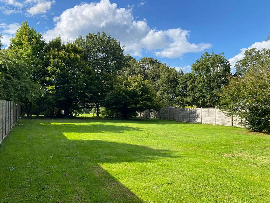 Jardin - Terrain Constructible Arboré à La Trinité-surzur