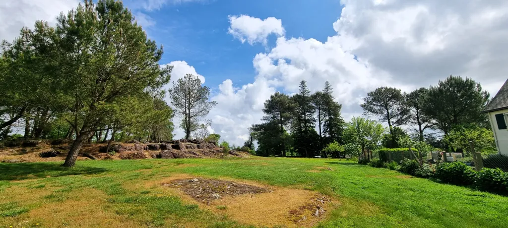 Jardin - Maison au Calme avec Jardin à Talensac