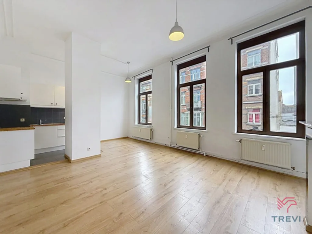 Séjour - Appartement Lumineux à Schaerbeek, Proche des Commodités