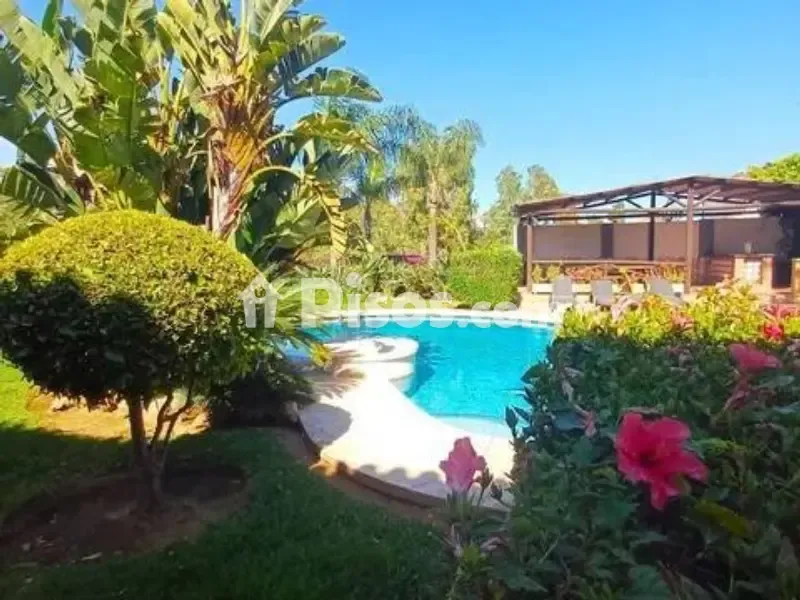 Piscine - Chalet with Pool and Terrace in Campo de Mijas