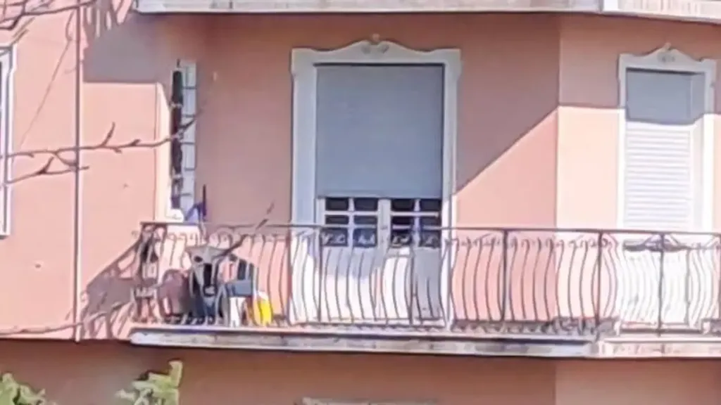 Rõdu - Restored Apartment with Balcony in Genoa
