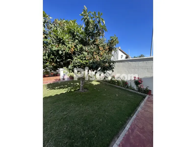 Jardin - Chalet with Pool in El Santiscal