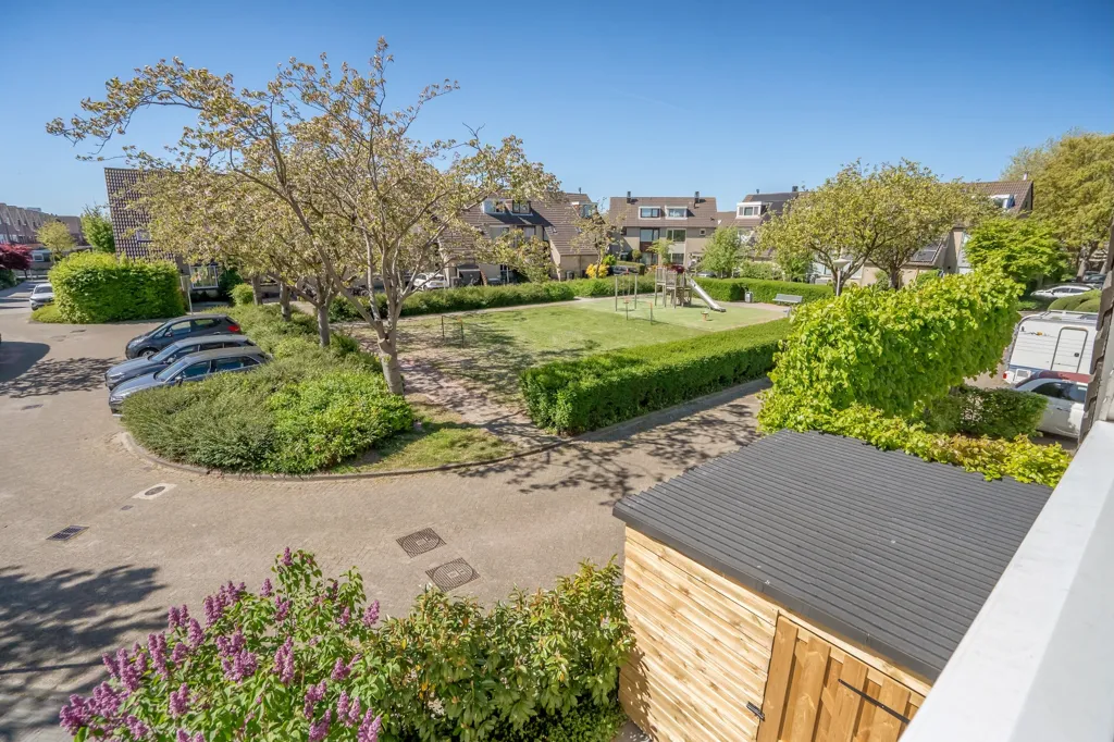 garden