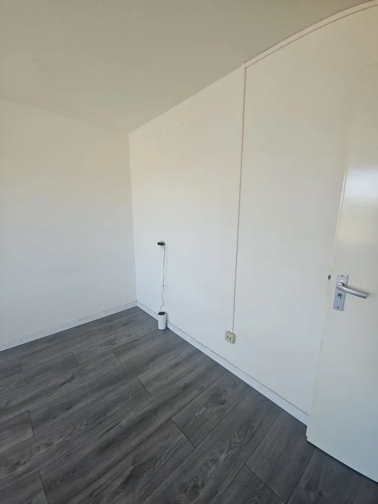 Toad - Semi-Studio with Parking in Tilburg