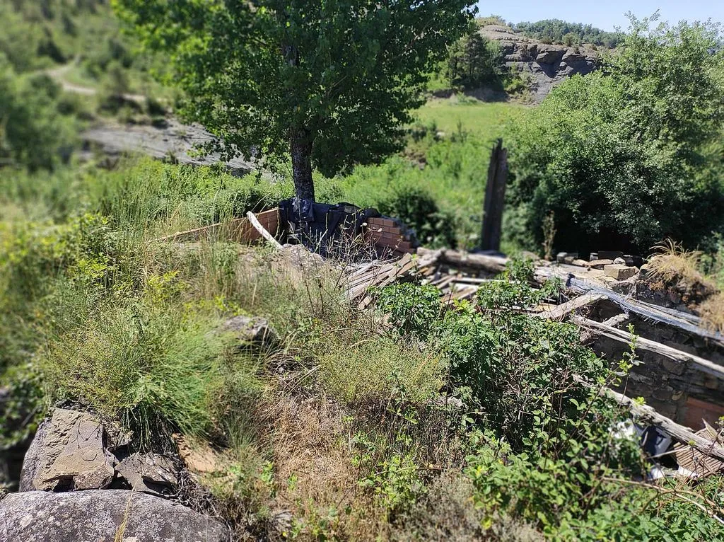 Garden - Rustic Borda with Garden near La Fueva