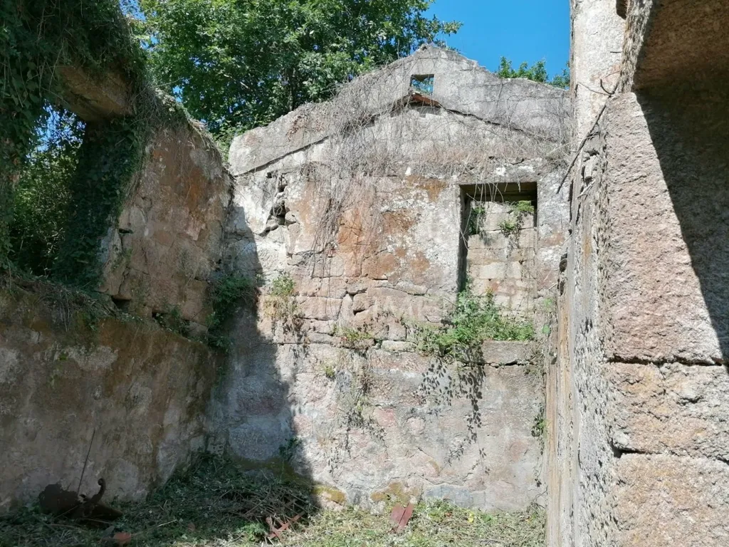 Jardin - Rural Quinta with Olive Trees in Pala