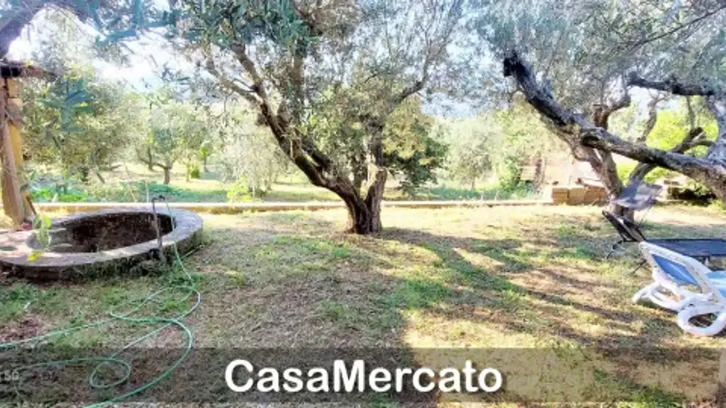 Aed - Loft with Garden in Grottaferrata