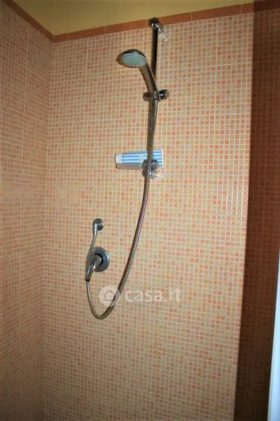 Bagni - Rustic Apartment with Private Garden in San Nicola Arcella