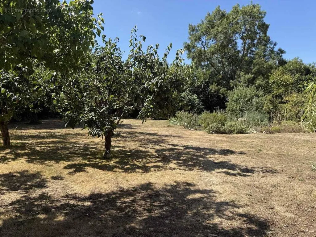 Aed - 780 m² Plot in Saint-Laurent-de-la-Prée