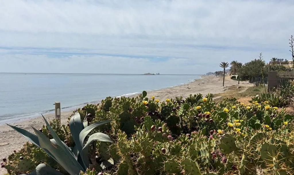 Duplex with Sea View Terrace in Carboneras