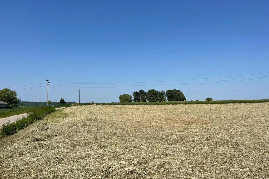 Jardin - Terrain à Bâtir avec Vue Dégagée à Hanzinelle