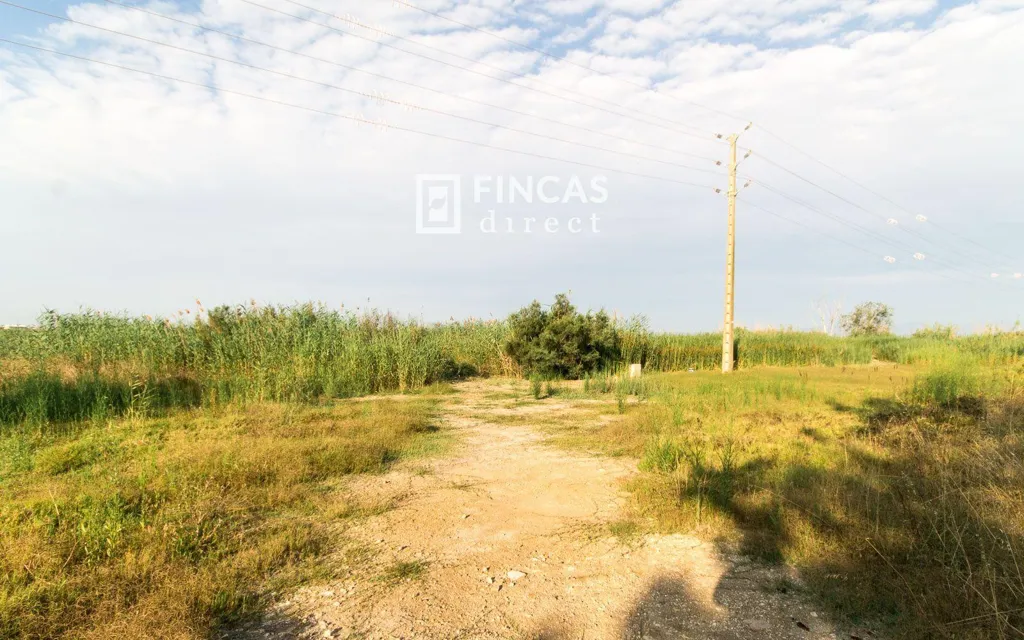 Jardin - Detached Chalet with Fireplace in Deltebre