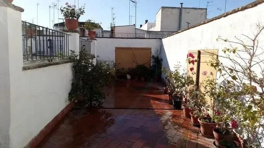 Jardin - Historic Townhouse with Pool in Córdoba