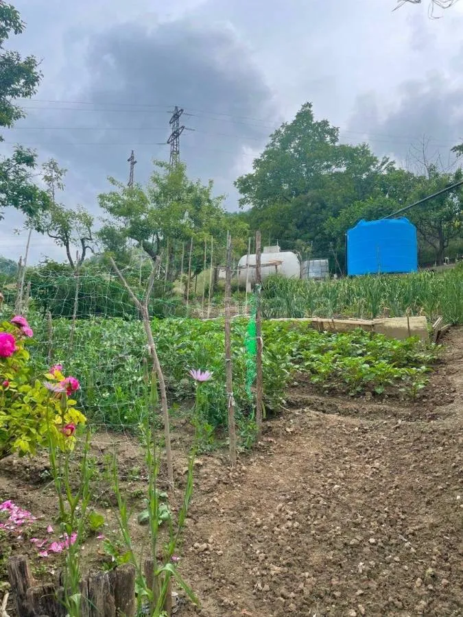 Jardin - Villa with Private Garden in Ceva