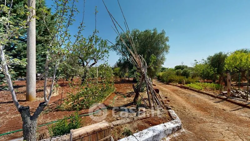 Aed - Trullo Complex with Olive Grove in Ceglie Messapica