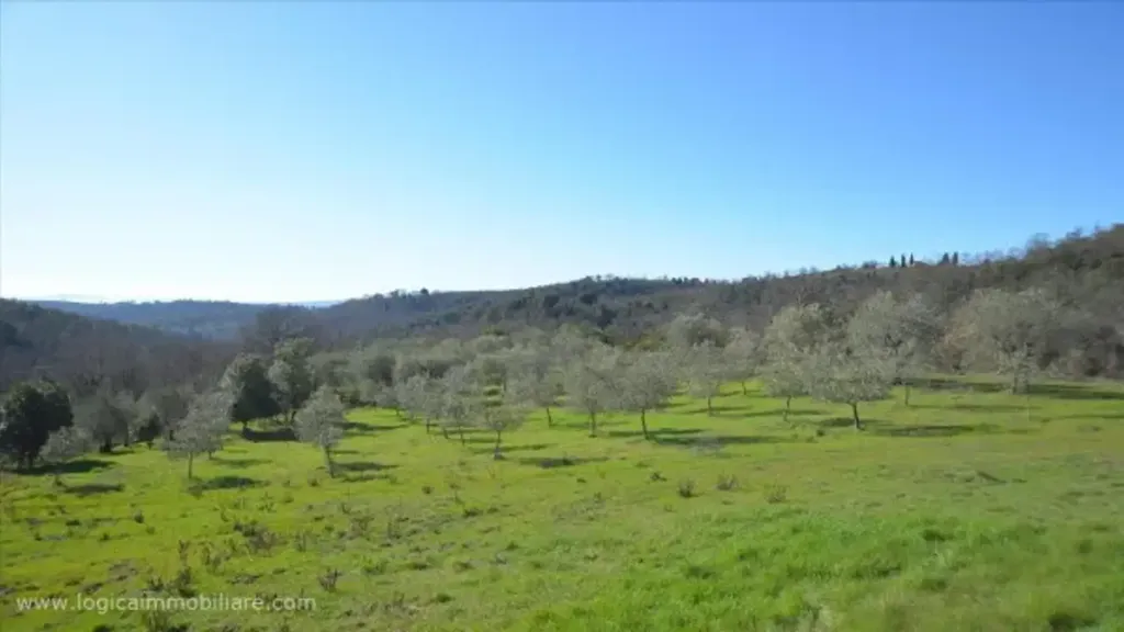 Jardin - Rustic Casale with Olive Grove near Sinalunga