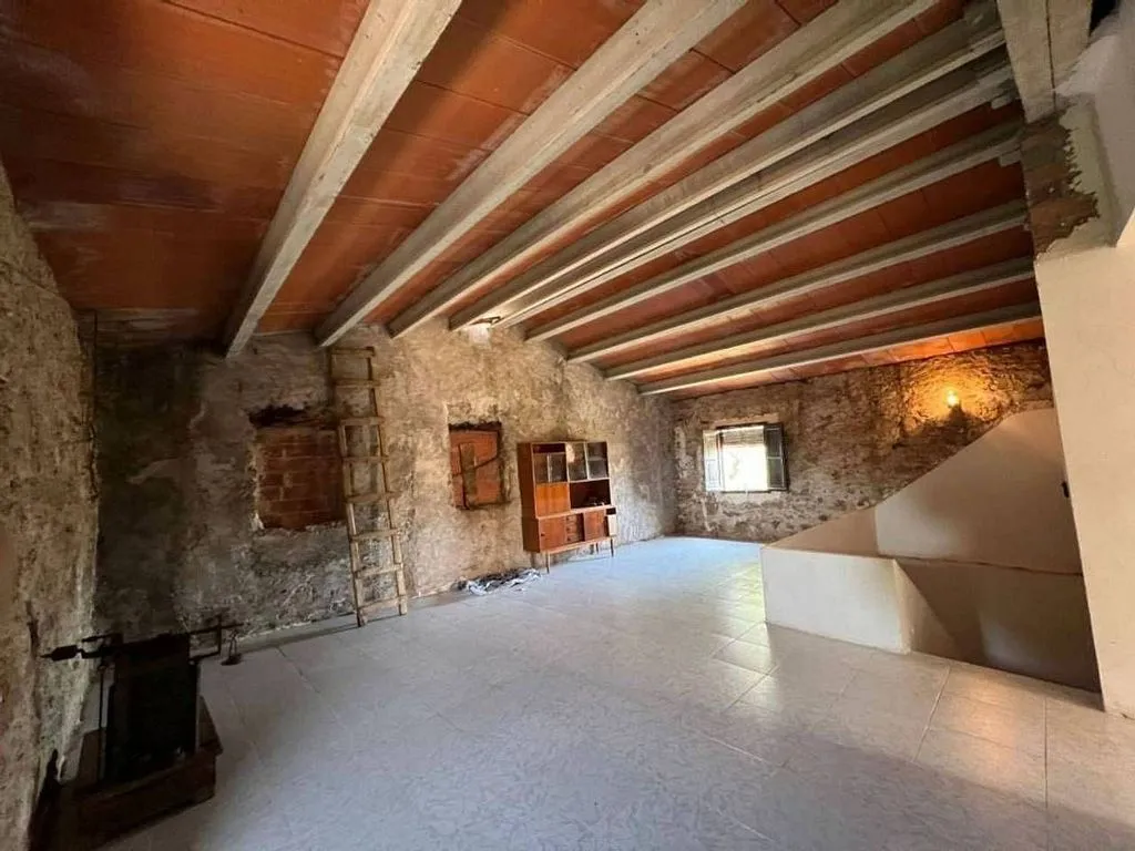 Toad - Rustic Masia with Finca in Vall-llebrerola