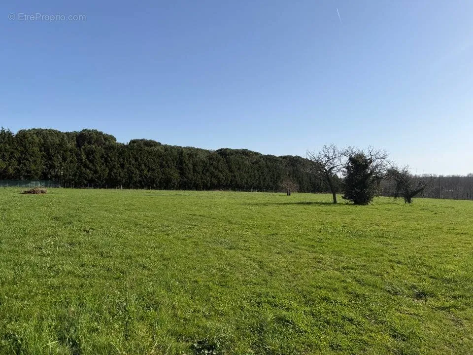 Aed - Buildable Plot with Garden in Martillac