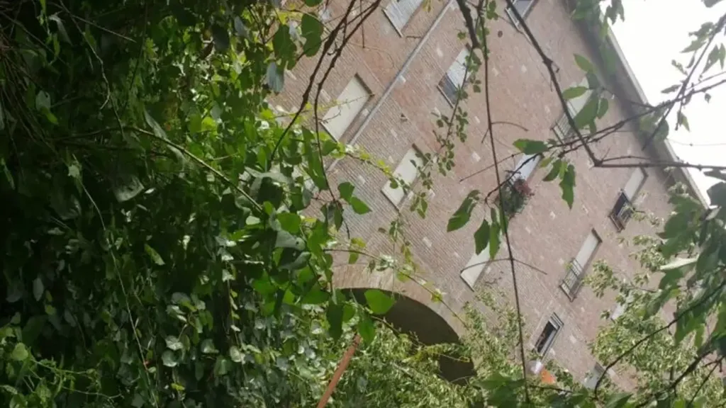 Aed - Apartment with Park View in Perugia