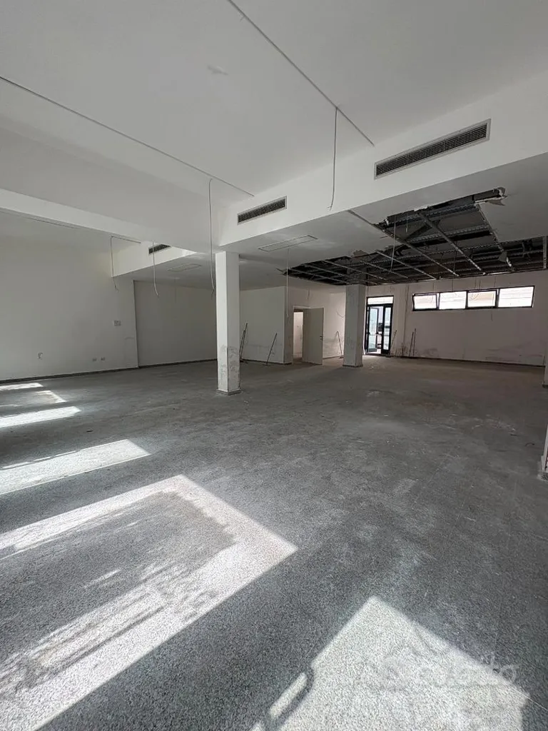 Toad - Large Commercial Space on Via Dante