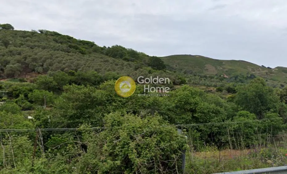 Aed - Buildable Plot with Olive Trees in Floria, Selino