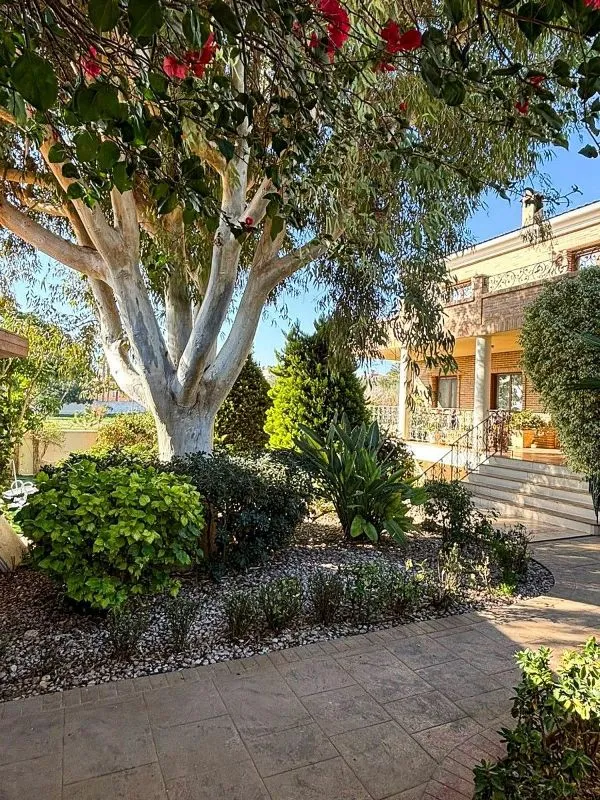 Jardin - Luxury Villa with Pool in Ciudad Quesada