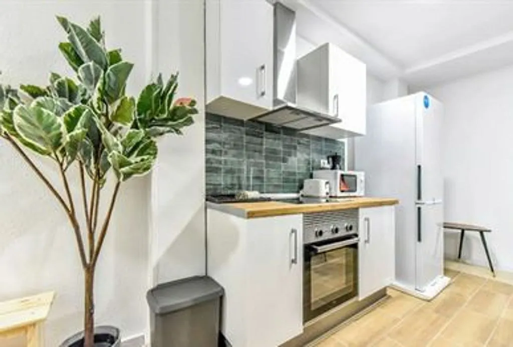 Cuisine - Furnished Flat with Elevator in Valladolid