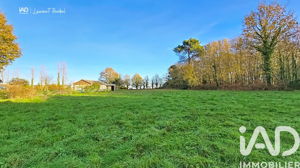 Jardin - Terrain à Bâtir en Zone Uib à Allaire