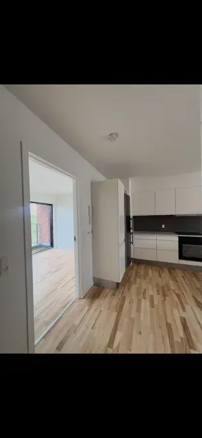 Cuisine - Apartment with Balcony in Kolding Centre
