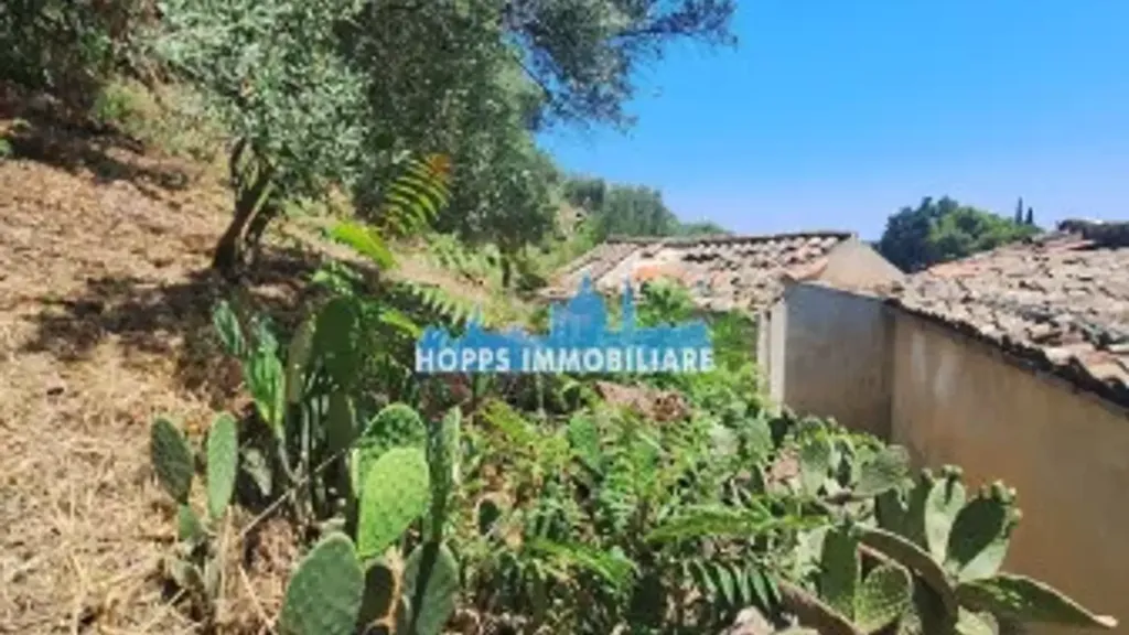 Giardino - Rustic Villa for Renovation in Monreale