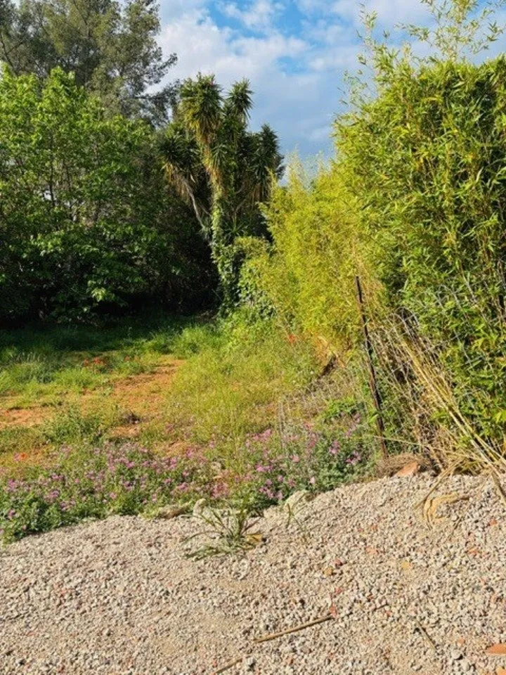 land_plot