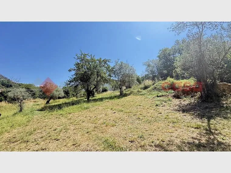 Giardino - Charming Villa with Garden in Fumone