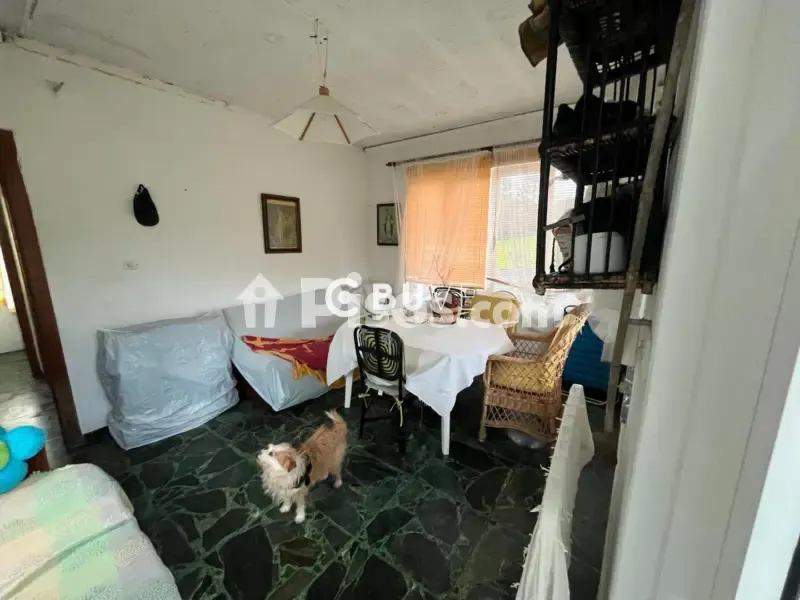 Elutuba - Stone House with Large Finca in Ferrol