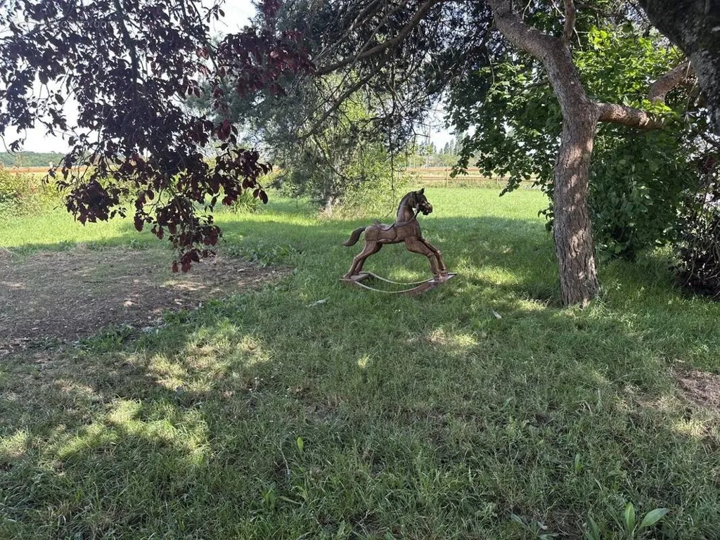 Jardin - Ferme de Caractère avec Terrain à Chauvigny
