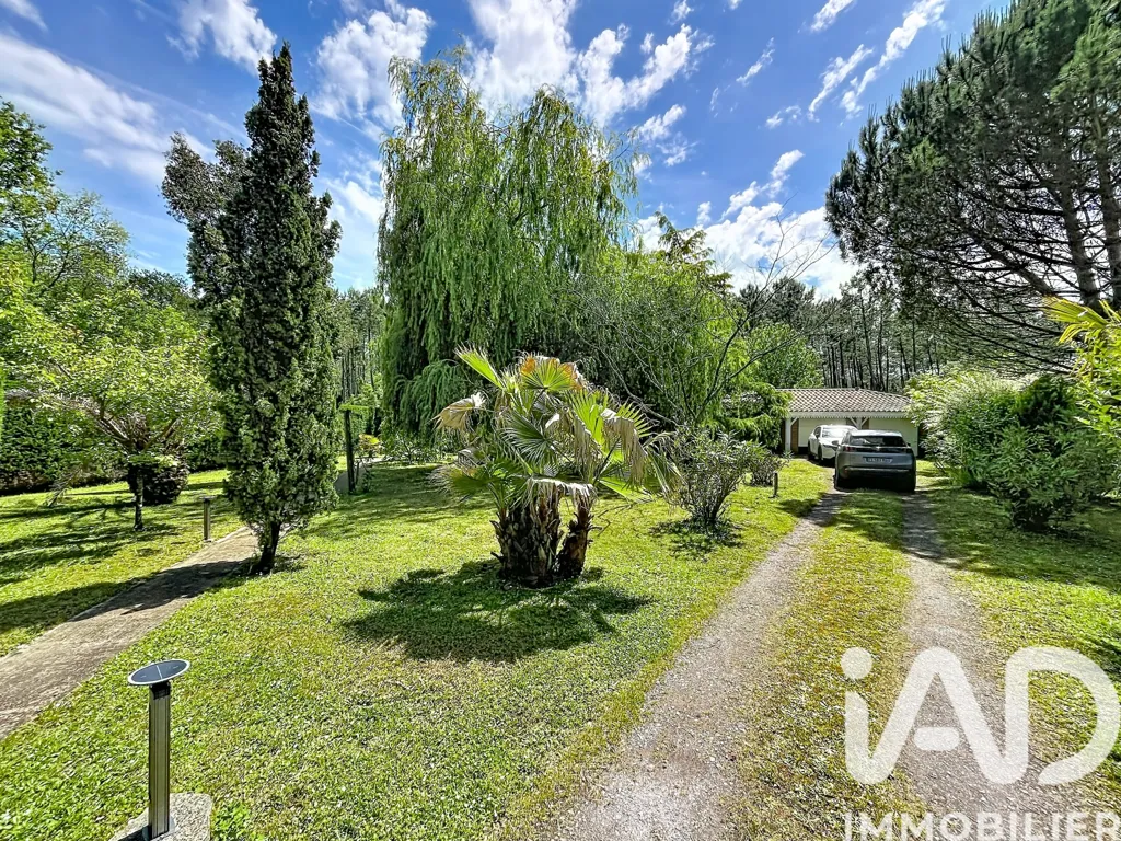 Aed - House with Pool in Messanges