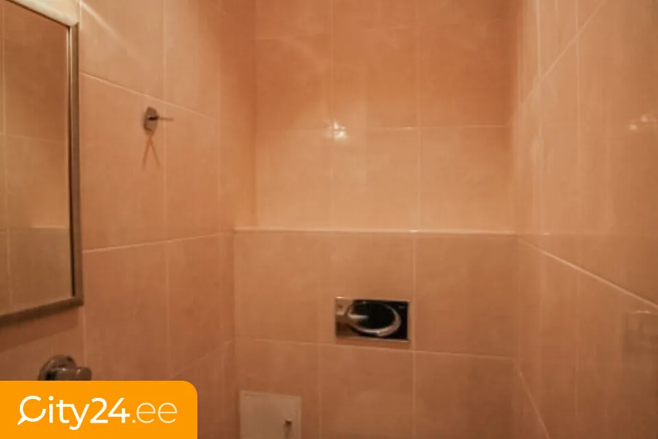 Salles de bain - 4-Bedroom Apartment with Historical Features in Old Riga