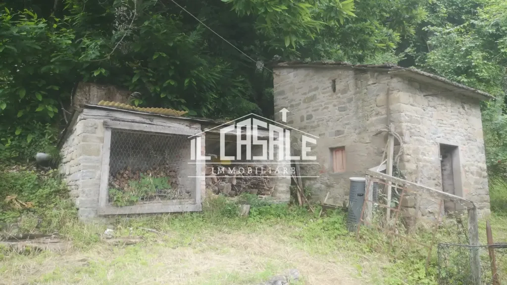 Extérieur - Rustic Property with Castagneto in San Godenzo