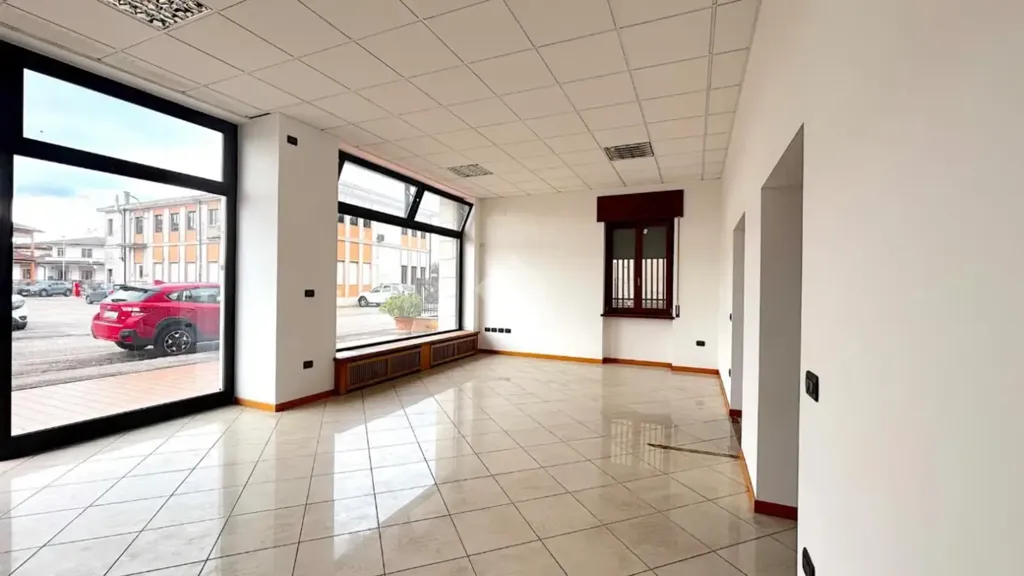 Toad - Ground Floor Apartment with Garage in San Bonifacio