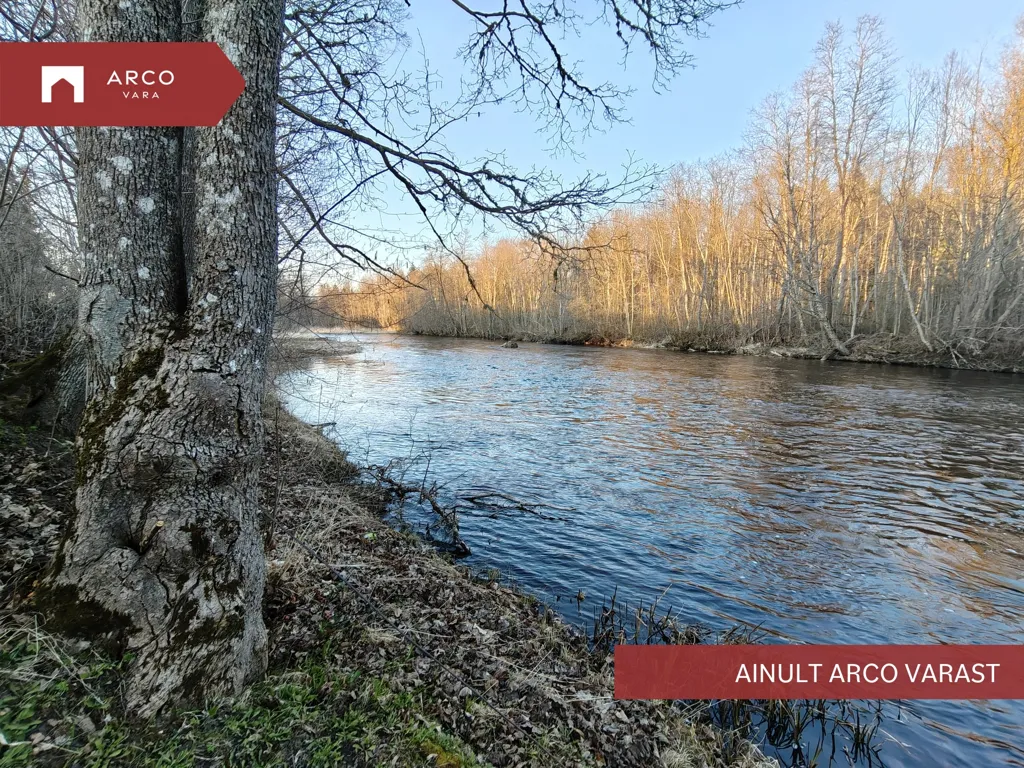 3-Bedroom Apartment with River View in Kaarlimõisa
